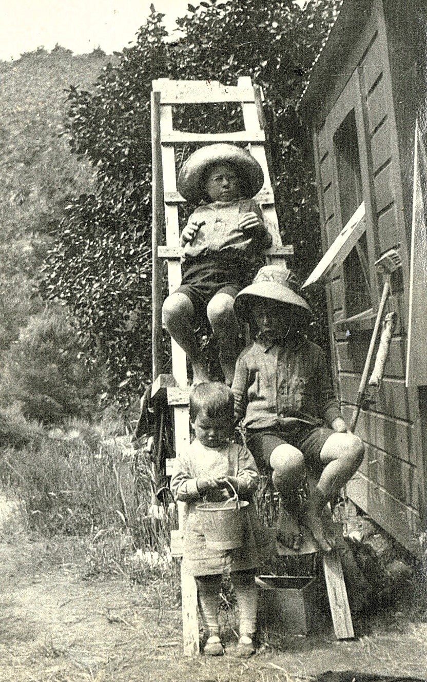 Trio of children on a ladder