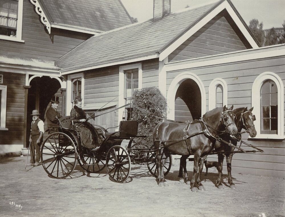 Woman driving a carriage with two horses