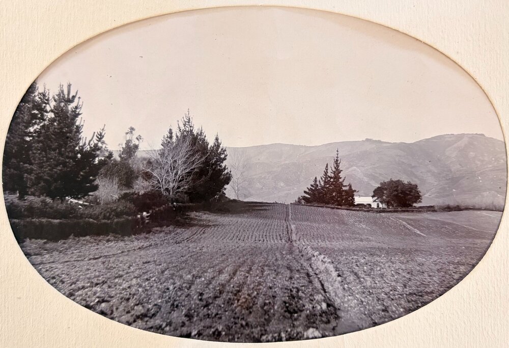 Fields with hills in the background