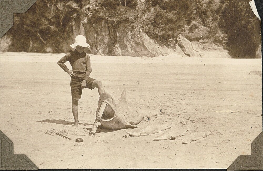 Boy posing beside dead sharks on the beach