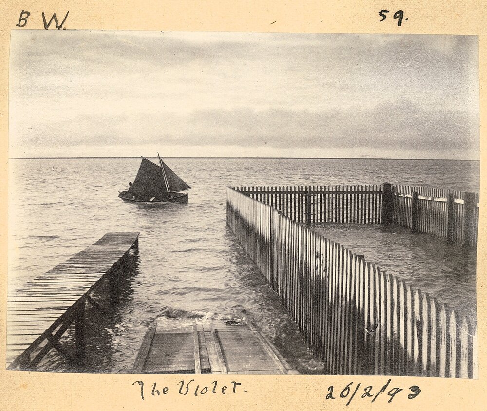 The Violet near a wooden structure