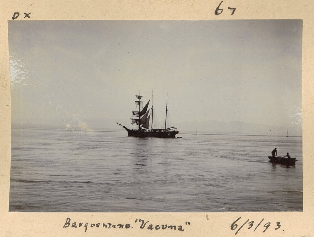 Barquentine Vacuna