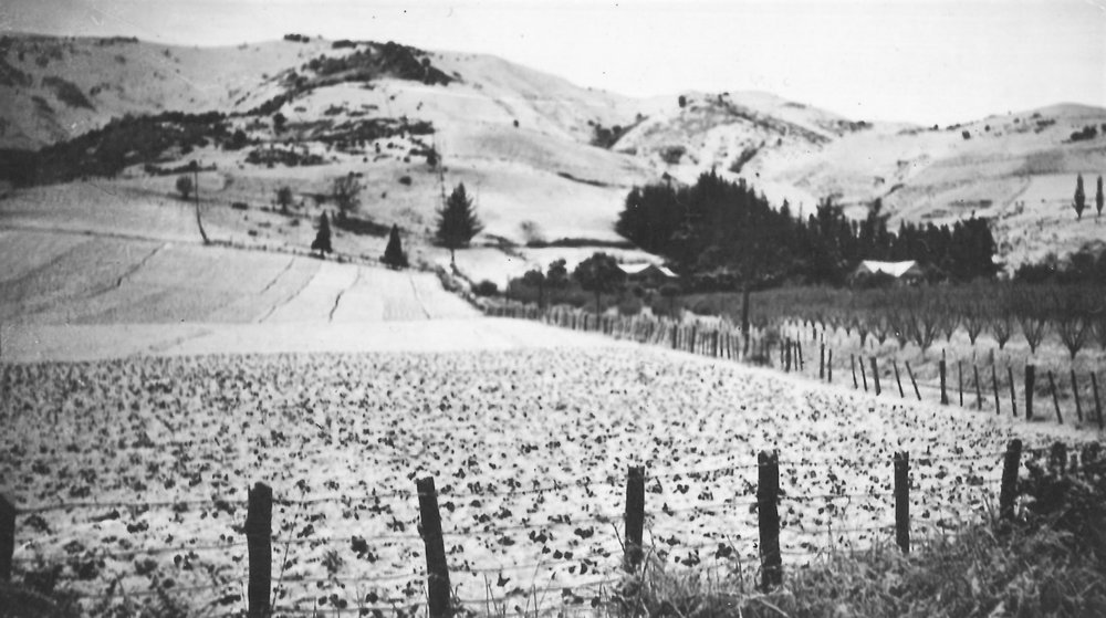 Snow dusted hills beyond Queen Street
