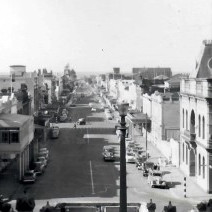 Nelson