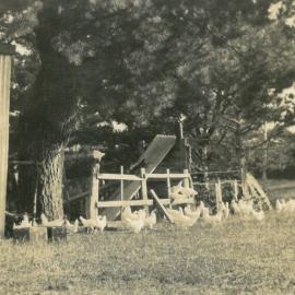 George Lawrence and Chickens