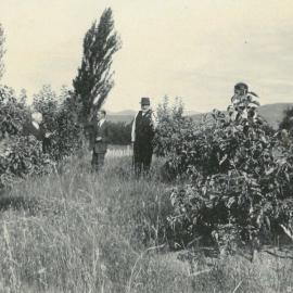 Group in the Apple Orchard, 1920s