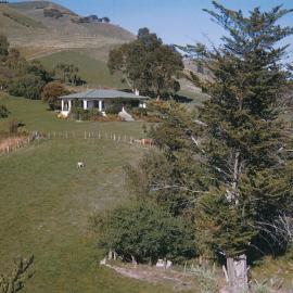 Part of the Bensemann family farm 1950s