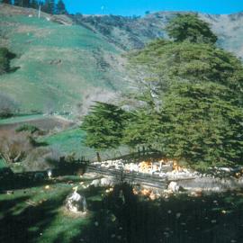 Bensemann family farm Upper Queen Street 1950s