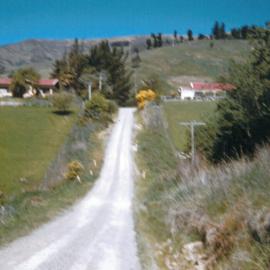 Bensemann farm Upper Queen Street Richmond 1950s