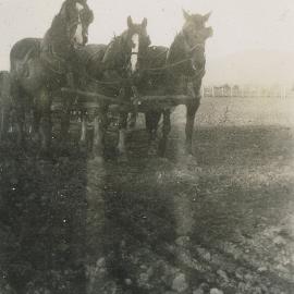 Horses, 1930s