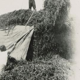 Silage making, 1930s