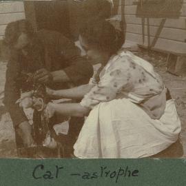 Cat-astrophe, Cat Being Washed, 1920s
