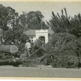 Brightwater School tree felling, 1970s