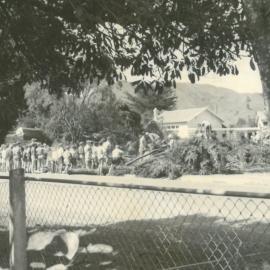 Pupils watch tree removal at Brightwater School, 1970s