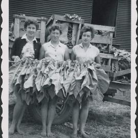 Shirley, Colleen and Margaret 1956
