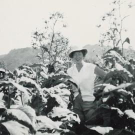 Colleen Twin, Riwaka, 1958