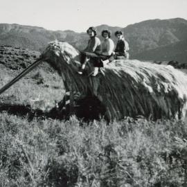 Giant kiwi outside Collingwood