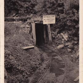 Seymour Mine in Owen River