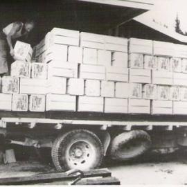 Loading apple cases 1958