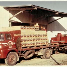 Loading boxes for export, P.C. Hurst Orchard, 1966
