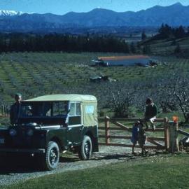 Dominion Orchards, c1955