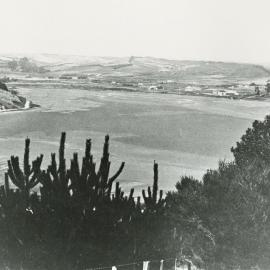 Tasman viewed from Kina