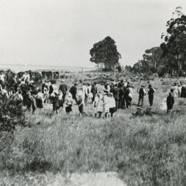 A Tasman picnic at Staffords Bush