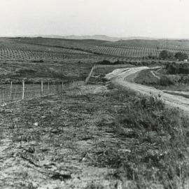 View of orchards from Bluffs Hill Moutere