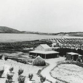 'Banachie' Benzies - Tasman Packing Shed, mud flats etc.