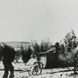 Spraying in McKee's Orchard