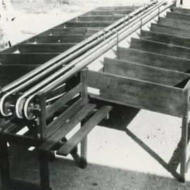 Sunbeam apple grader machine