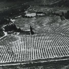 Mahana and orchard from the air
