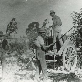 Three men spraying at Benzies Orchard, Tasman, 1917