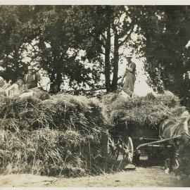 Making a haystack