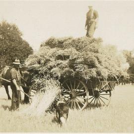 Carting Hay, Richmond