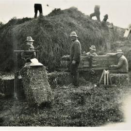 Processing hay, 1920s or 1930s