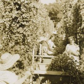 Women picking hops, 1952