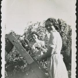 Dorothy Read at the hop bins, 1952