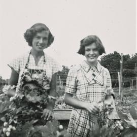 Read family girls hop picking 1952