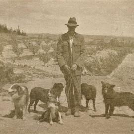 Man with dogs in front of orchard