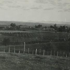 Richmond looking towards Mount Arthur from Wensley Hill 1927