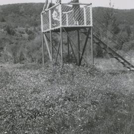 Te Waikoropupū Springs 1930