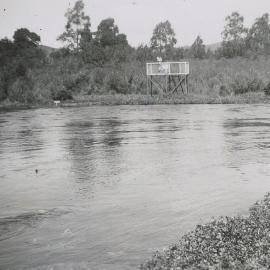 Te Waikoropupū Springs viewing platform 1930