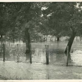 Flooded paddock Queen Street Richmond