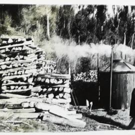 Charcoal kiln with woodstacks