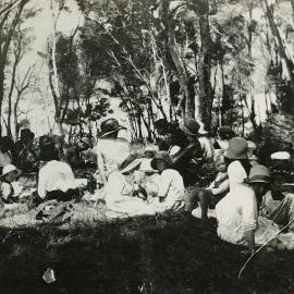 A picnic on the point at Wainui