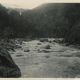 Nature from the hills river in Golden Bay / Mohua