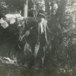 Packhorses on the Kill Devil Track