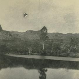 Reflection of tree on water Golden Bay / Mohua