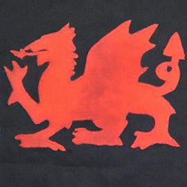 The Land of The Dragon